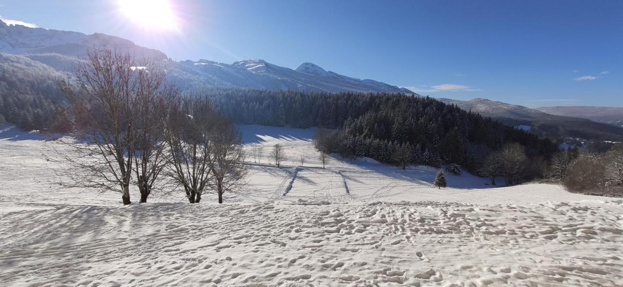 Studio Cosy Au Pied Des Pistes Villard-De-Lans 4 Pers Bagian luar foto